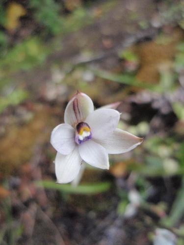 科槐莱恩山林小屋