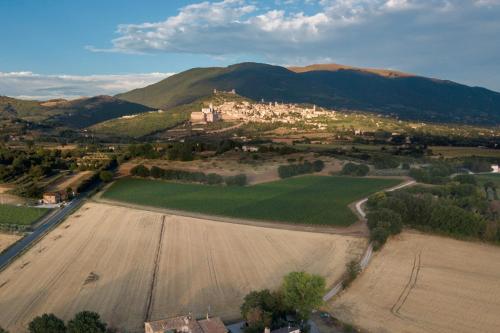Camere I Monelli