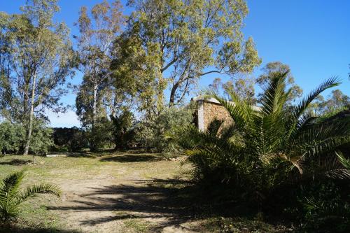 Casa Su Catreathu - image 4
