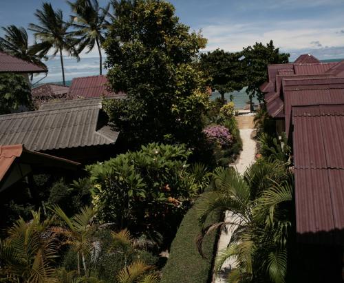 Jungle Hut Bungalows & Hotel - 전망