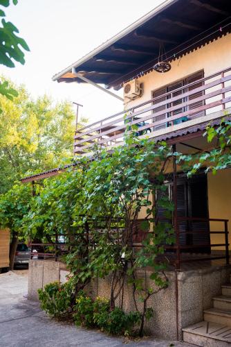 

Villa Ares 2