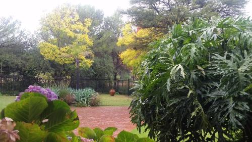 Kleineweide Boutique Estate - image 4