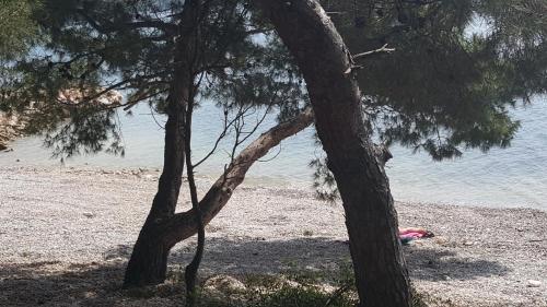 Apartment Ecio - image 7