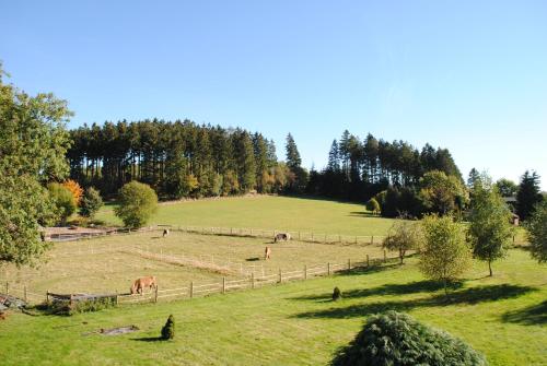 Landgasthof Gruss - main image