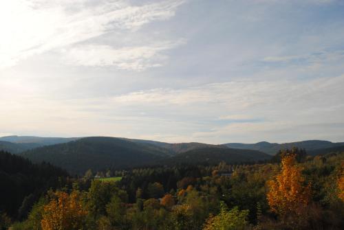 Landgasthof Gruss - Accommodation - Brilon