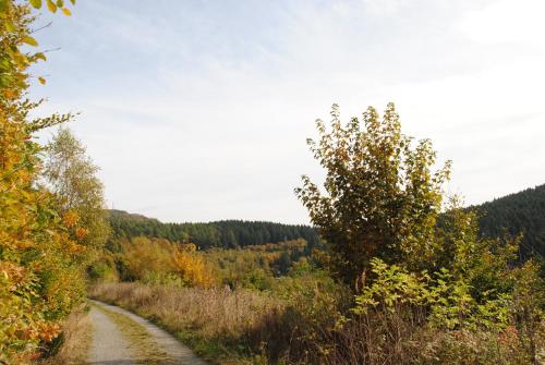 Landgasthof Gruss - image 6
