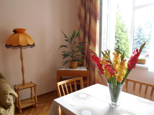 Apartament Krakowski Styl, Cracovie (photo 8)