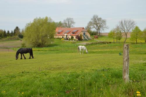 Heu-Ferienhof Altkamp in Putbus, Deutschland