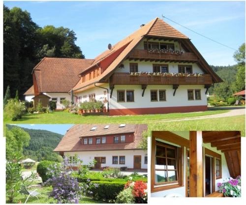 Hof hinter der Mühle (Hof hinter der Muhle) in Gutach (Schwarzwaldbahn)