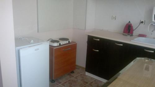 Lider Apartment Ivaylo - image 4