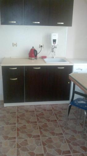 Lider Apartment Ivaylo - image 9