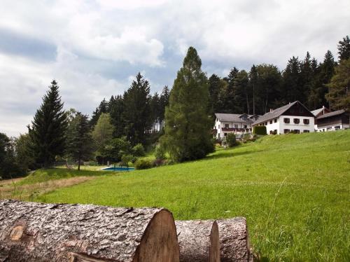 Gasthof Waldschenke, Pension in Bad Leonfelden bei Loizendorf