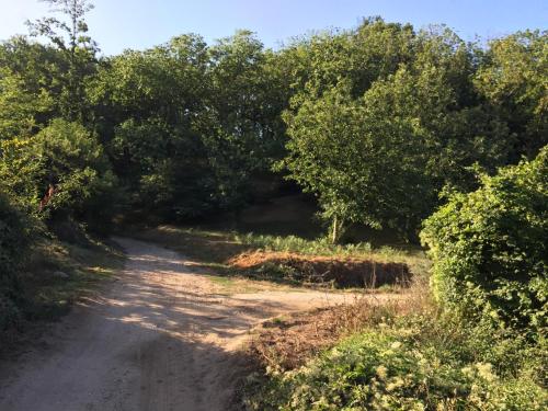 Le Quattro Stagioni in Teano