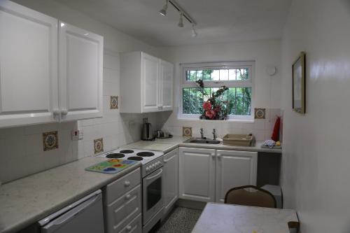 La Suisse Serviced Apartments - image 9