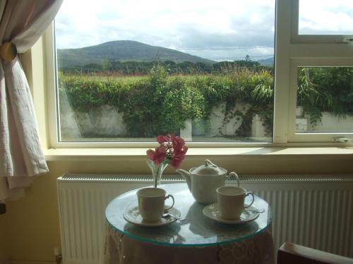 Dotări, River Meadows B&B in Kenmare