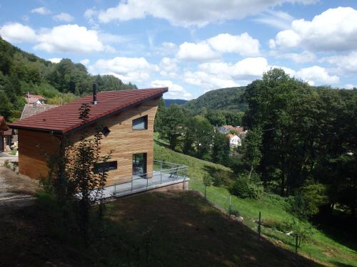 Villa Cora Venez neuve avec SPA gîte à louer Raddon-et-Chapendu