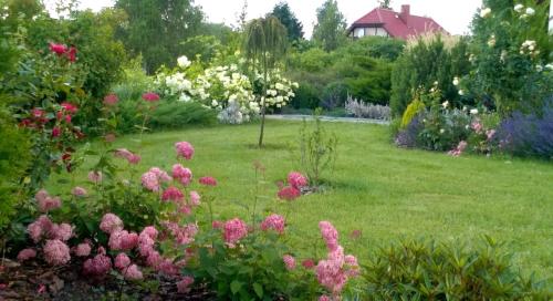 Villa Orlik - image 2
