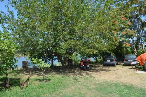 Apartments Chiara - image 2