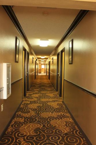 Holiday Lodge - 전망
