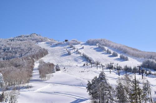 Sports and activities, Villa Ichinose near Shiga-Kogen Yakibitaiyama Ski Resort