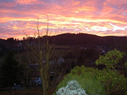 Ferienwohnung Haus am Dürrberg "St. Georg"