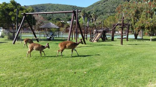 Brenton Lake Holiday Cottages – Knysna, MO