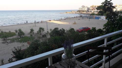 Goldie's Home by the sea - image 10