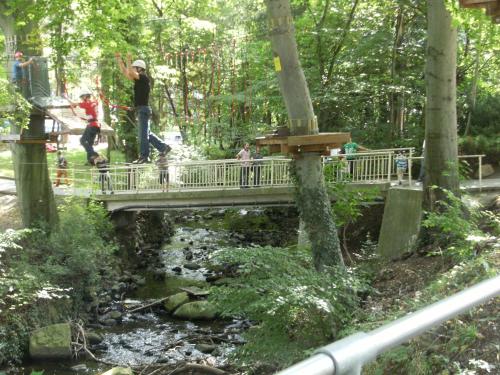 Loft Wernigerode Erdgeschoss - image 12