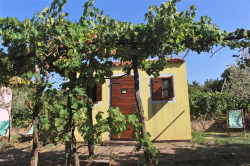 Glamping Green Istria Tiny Houses