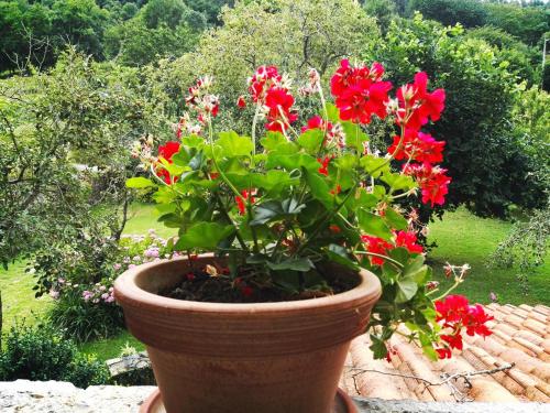 Finca Artienza - image 12