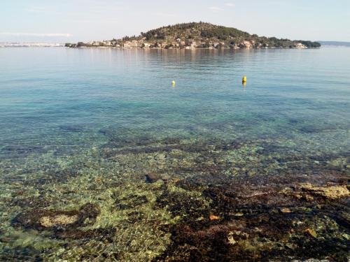  BlueHouseApartments in Kali