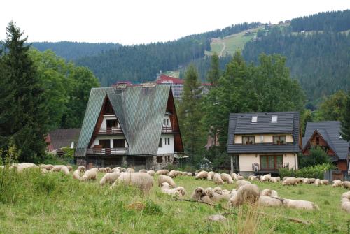 Domek Na Wierchu i Apartament na Wierchu, Zakopane (fotografie 2)