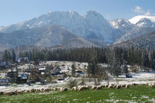 Domek Na Wierchu i Apartament na Wierchu, Zakopane (fotografie 5)