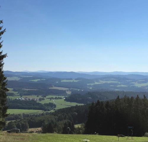 Apart Riviera Lipno J4-12 - image 3