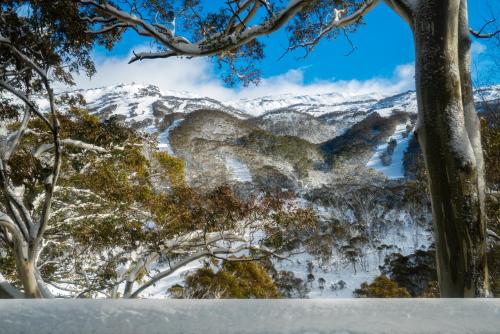 Pure Chalet Thredbo