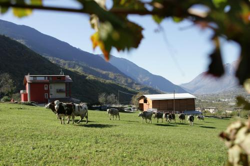  Agriturismo Stella Orobica, Albosaggia bei San Pietro