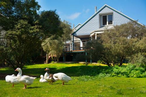 Boatshed Villa Yellow Door
