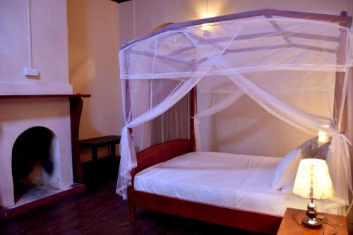 Deluxe Queen Room image 3