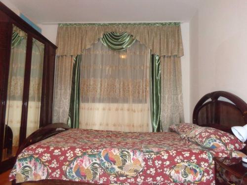 Apartment Karadzica 1 - main image