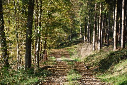 B&B Les Trois Voisins