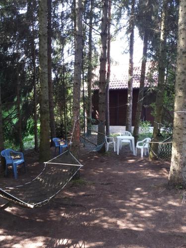 Apartmani U Borovoj Šumi - main image