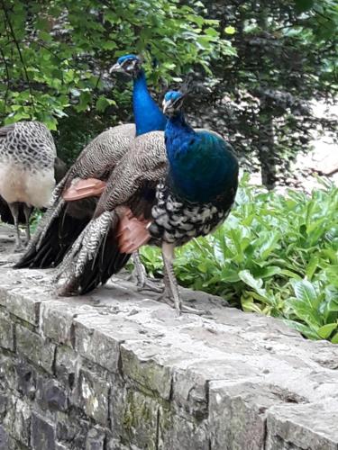 Hostal Palacio Jaureguia in Irurita