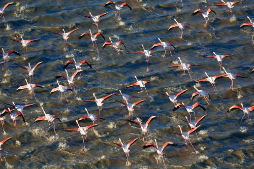 Les Jardins de Baracane - image 6