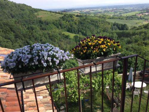 Skats, B&B Monferrato La Casa Sui Tetti in Villadeati