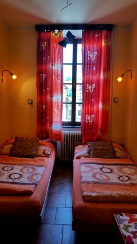 Hostel Merlin - image 4