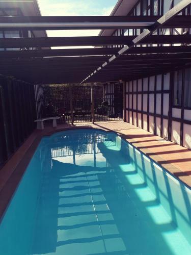 Swimming pool, Albatross Motel in Napier