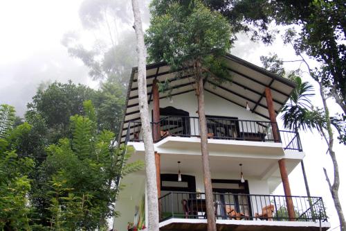 Photo - Hill Forest Cottage