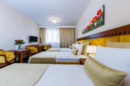 Grein Hotel - image 12