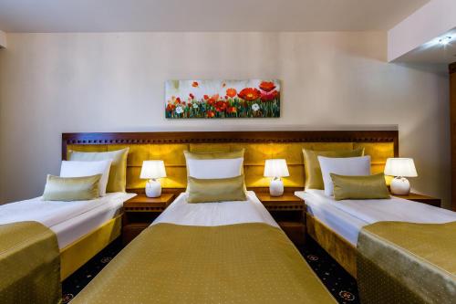 Grein Hotel - image 6