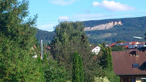 Ferienwohnung Bambusgarten